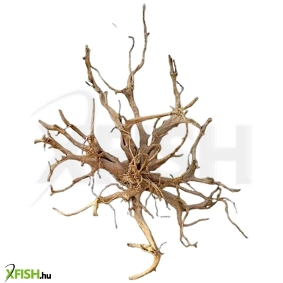 Aquadeco finger wood fagyökér dekoráció akváriumba-terráriumba - egyedi 01