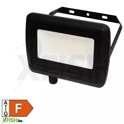 Home fll 50 LED fényvető, 50 w, 4000 lm
