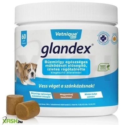 Glandex 240g 60 db rágótabletta
