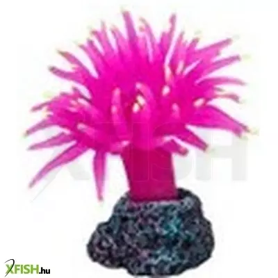 Korall dekoráció - r083 happet lila