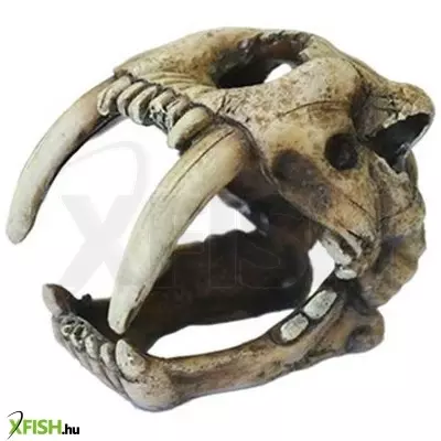 Kw zone kardfogú koponya akvárium dekoráció - u777 (10cm hosszú)