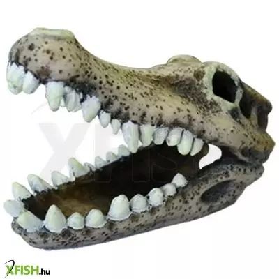 Kw zone krokodil koponya akvárium dekoráció - u778 (11cm hosszú)