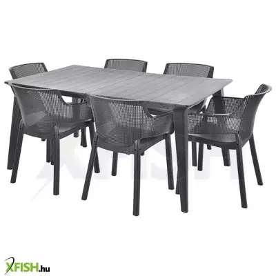 Hecht elisa graphite set 6