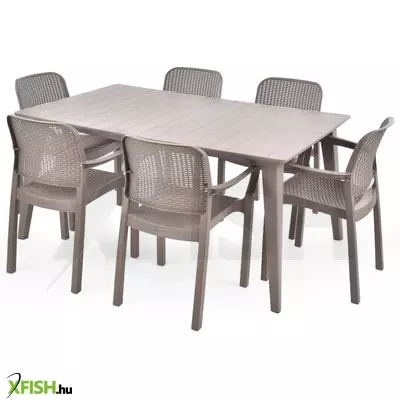 Hecht samana beige set 6