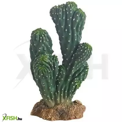Hobby dohse kaktusz akvárium-terrárium dekoráció - 37019 hobby (19cm magas)