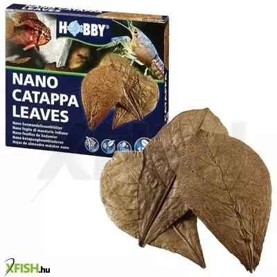 Hobby dohse hobby catappa levél akváriumba - nano, 12db