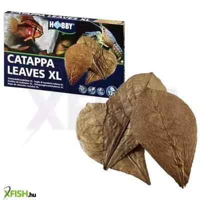 Hobby dohse hobby catappa levél akváriumba - XL, 12db