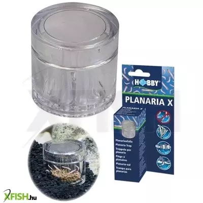 Hobby dohse hobby planaria X planária csapda akváriumba (csalétekkel)