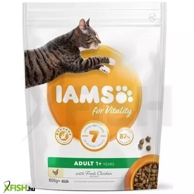Iams Cat Adult Dental csirke macskatáp 800g