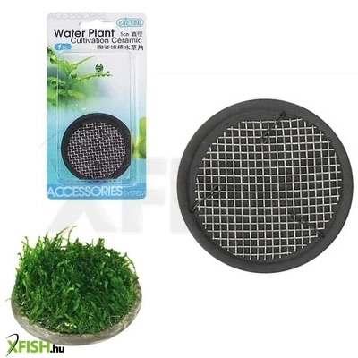 Ista növényültető kerámia hálóval 5cm (kerek)
