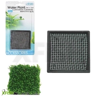 Ista növényültető kerámia hálóval 5x5cm (szögletes)