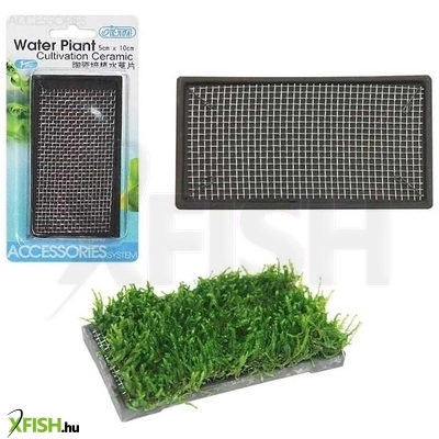 Ista növényültető kerámia hálóval 5x10cm (téglalap)