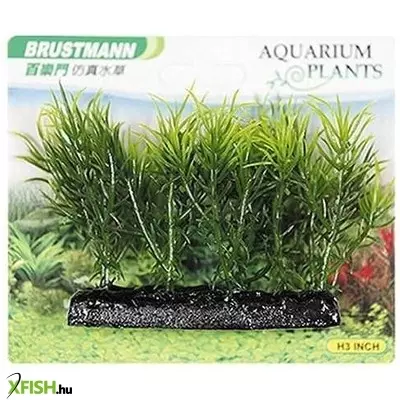 Brustmann műnövény akvárium dekoráció 7cm - ap-153
