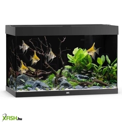 Juwel rio 290 LED akvárium szett - 290 liter (fekete) (előrendelhető)