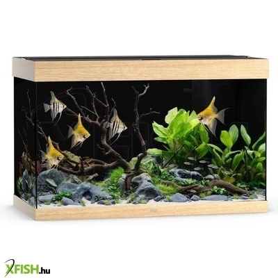 Juwel rio 290 LED akvárium szett - 290 liter (világos fa) (előrendelhető)