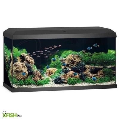 Juwel primo 110 LED 2.0 akvárium szett - 110 liter fekete (előrendelhető)