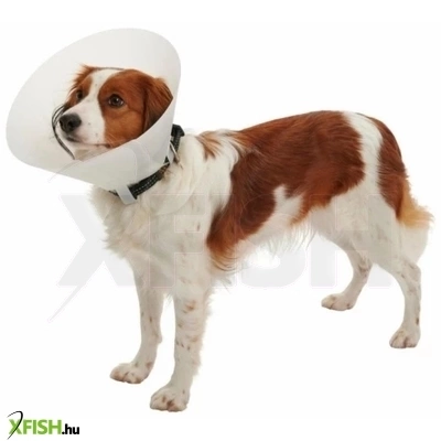 Kruuse Védőgallér Eh.35cm Buster