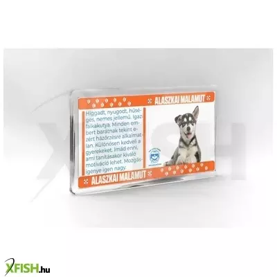Neked vettem kutyás hűtőmágnes 11*6cm - alaszkai malamut
