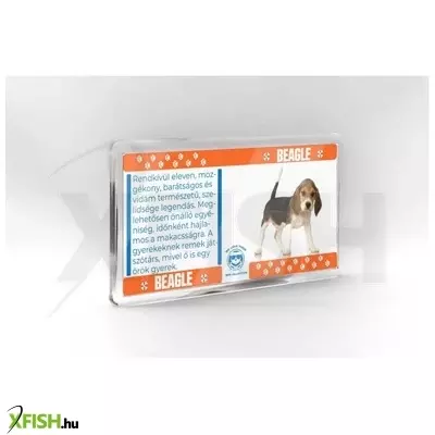 Neked vettem kutyás hűtőmágnes 11*6cm - beagle