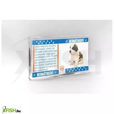 Neked vettem kutyás hűtőmágnes 11*6cm - bernáthegyi