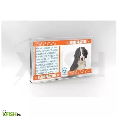 neked vettem kutyás hűtőmágnes 11*6cm - berni pásztor