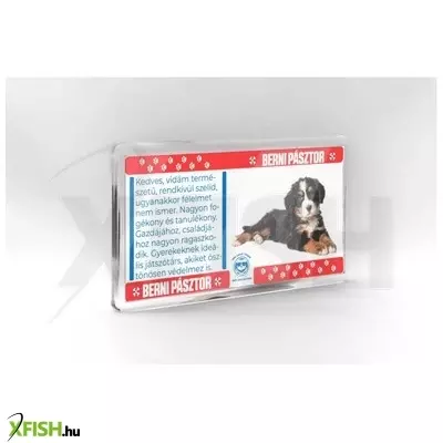 Neked vettem kutyás hűtőmágnes 11*6cm - berni pásztor