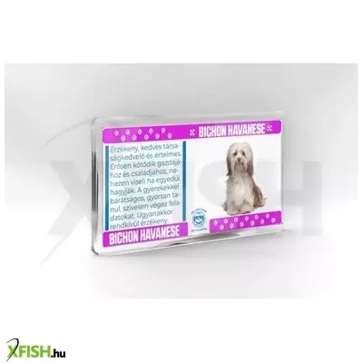 Neked vettem kutyás hűtőmágnes 11*6cm - bichon havanese