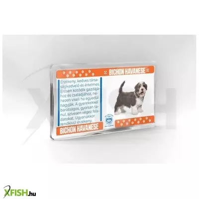 Neked vettem kutyás hűtőmágnes 11*6cm - bichon havanese
