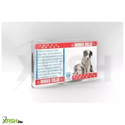 Neked vettem kutyás hűtőmágnes 11*6cm - border collie