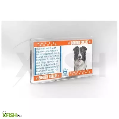 Neked vettem kutyás hűtőmágnes 11*6cm - border collie