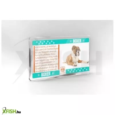 Neked vettem kutyás hűtőmágnes 11*6cm - boxer