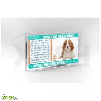 Neked vettem kutyás hűtőmágnes 11*6cm - cavalier king charles spániel