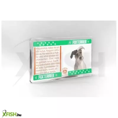 neked vettem kutyás hűtőmágnes 11*6cm - foxterrier