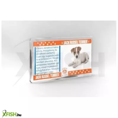 Neked vettem kutyás hűtőmágnes 11*6cm - jack russel terrier