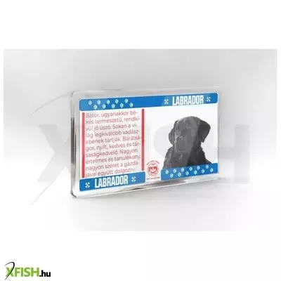 Neked vettem kutyás hűtőmágnes 11*6cm - labrador