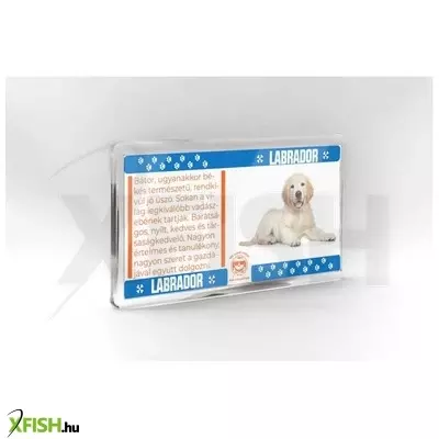 Neked vettem kutyás hűtőmágnes 11*6cm - labrador