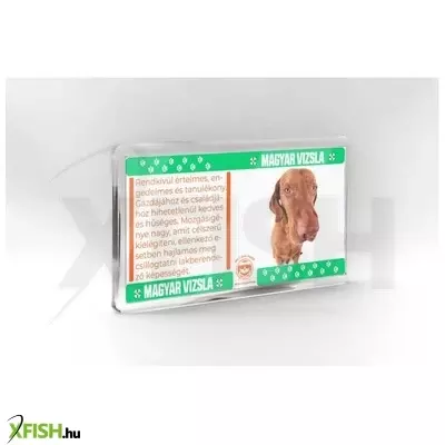 Neked vettem kutyás hűtőmágnes 11*6cm - magyar vizsla