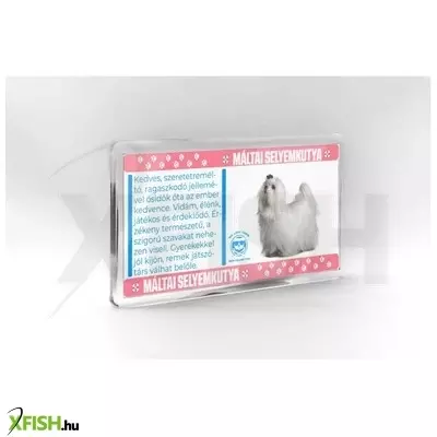 neked vettem kutyás hűtőmágnes 11*6cm - máltai selyemkutya
