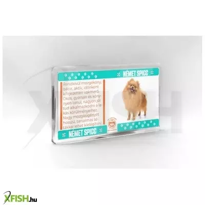 Neked vettem kutyás hűtőmágnes 11*6cm - német spicc