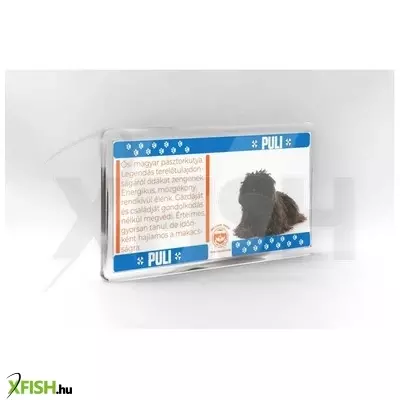Neked vettem kutyás hűtőmágnes 11*6cm - puli