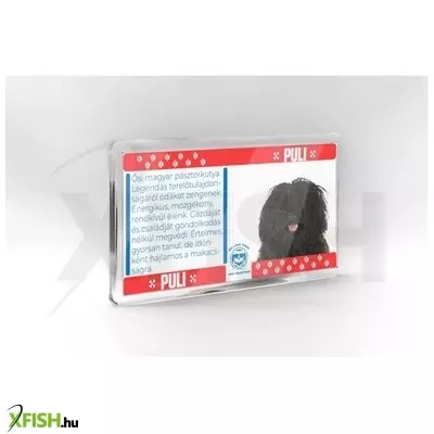 Neked vettem kutyás hűtőmágnes 11*6cm - puli