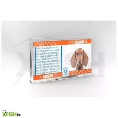 Neked vettem kutyás hűtőmágnes 11*6cm - tacskó