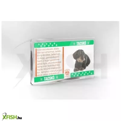 neked vettem kutyás hűtőmágnes 11*6cm - tacskó