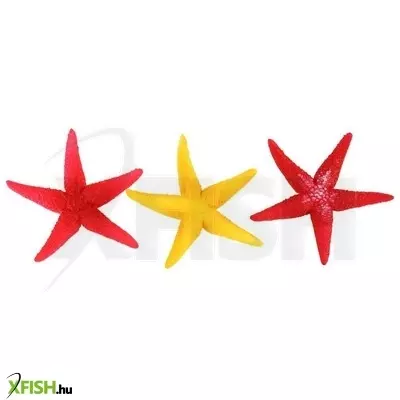 Tengericsillag dekoráció - am408011 natural color