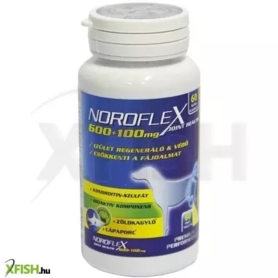 Noroflex 600+100mg 60db ízületvédő, fájdalomcsökkentő rágótabletta