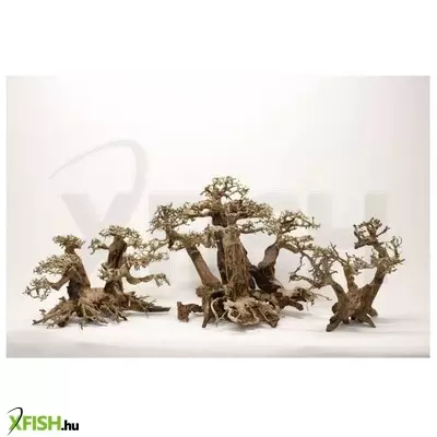 Aquadeco forest-bonsai akvárium dekoráció aquascapinghez - S