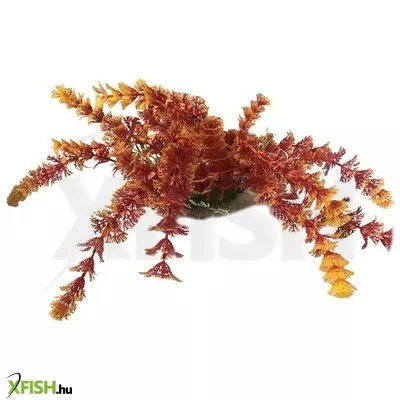 tatrapet műnövény 20cm - 183.39 xl