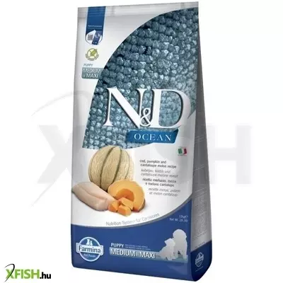 N&d ocean dog tőkehal,sütőtök & sárgadinnye puppy medium/maxi 12kg
