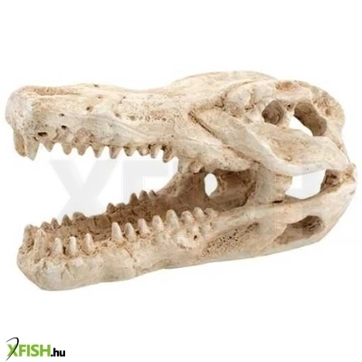 Kzm krokodil koponya akvárium-terrárium dekoráció 7,5x4,5x4,5cm