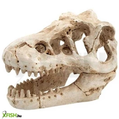 Kzm t-rex koponya akvárium-terrárium dekoráció 8,5x6x6cm
